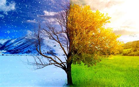 Seasonal Affective Disorder AKA S.A.D - All Things Possible Wellness Center