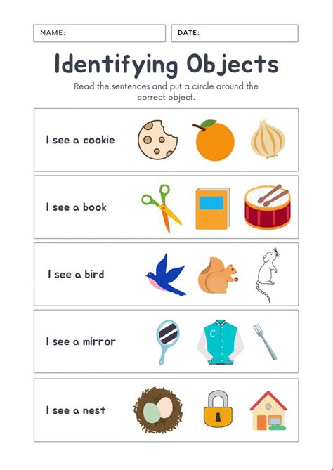a worksheet for identifying objects