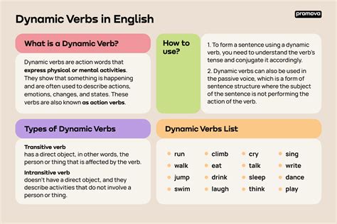 Dynamic Verbs - List & Examples | Promova | Promova Blog