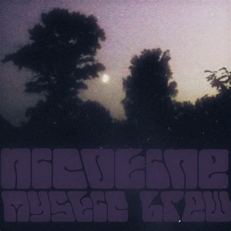 Mystic Brew | Nicotine | Re:Sample