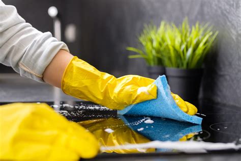 9 Best Cleaning Services in Milton | Experience Milton