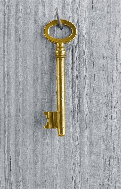 Golden key stock photo. Image of target, business, sign - 28514710