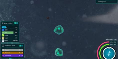 Best Evolution Games