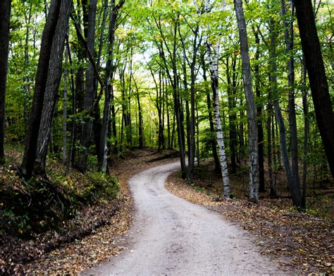 Free photo: Path - Branches, Ice, Lake - Free Download - Jooinn