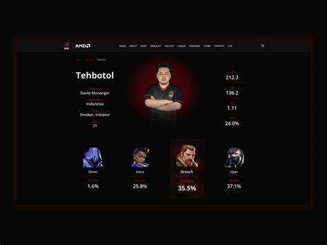 User Profile - E-Sport Player Details (BOOM Tehbotol) by David ...
