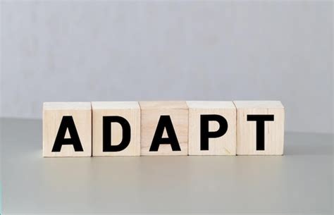 Adapt DPS build to tank meta: How to maintain damage output without full respec?