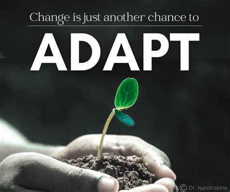 How to adapt your DPS build for the new meta after the patch notes drop?