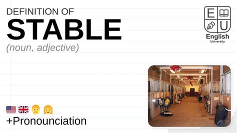 STABLE meaning, definition &amp; pronunciation | What is STABLE? | How to ...