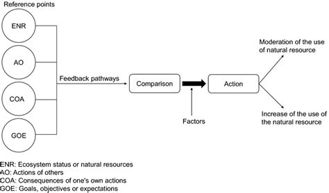 The behavioral origin of moderation based on feedback | Download ...