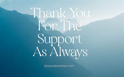 Which support build counters aggressive dive comps in ranked team play?