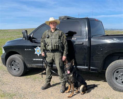 How To Become A California Game Warden - Perspectivenumber Moonlightchai