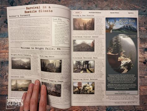 Alan Wake Official Survival Guide Review - Strategy Guides HQ