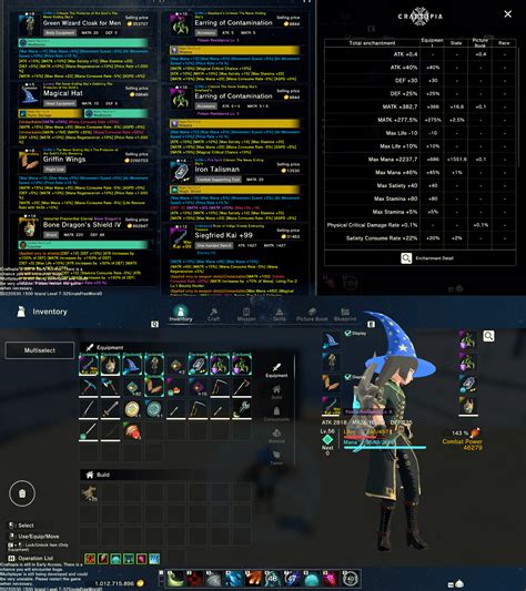 My mage build. I'd like to hear your advice and/or opinion! : r/Craftopia_