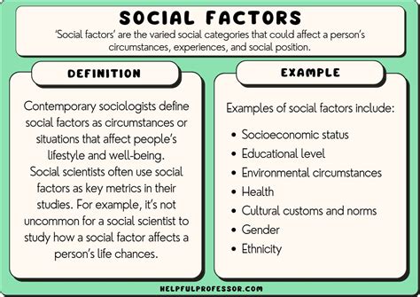 75 Social Factors Examples (with Definition) (2024)
