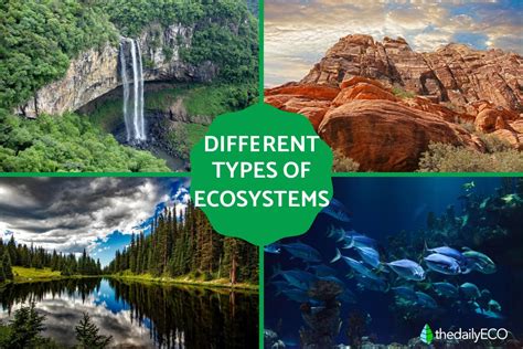 Different Types of Ecosystems - List With Examples and Photos