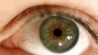 How do gaming communities manage mod conflicts and updates effectively?