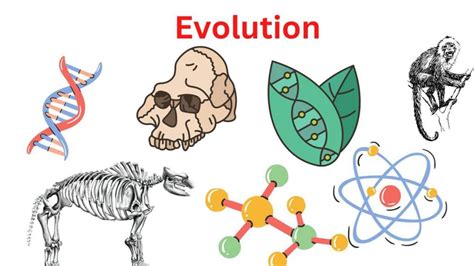 Evolution Examples