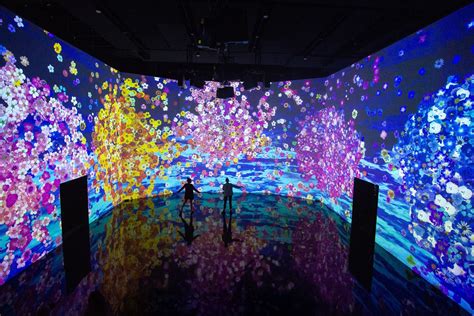 7 Places to Experience Incredible Interactive Art | Budget Travel ...